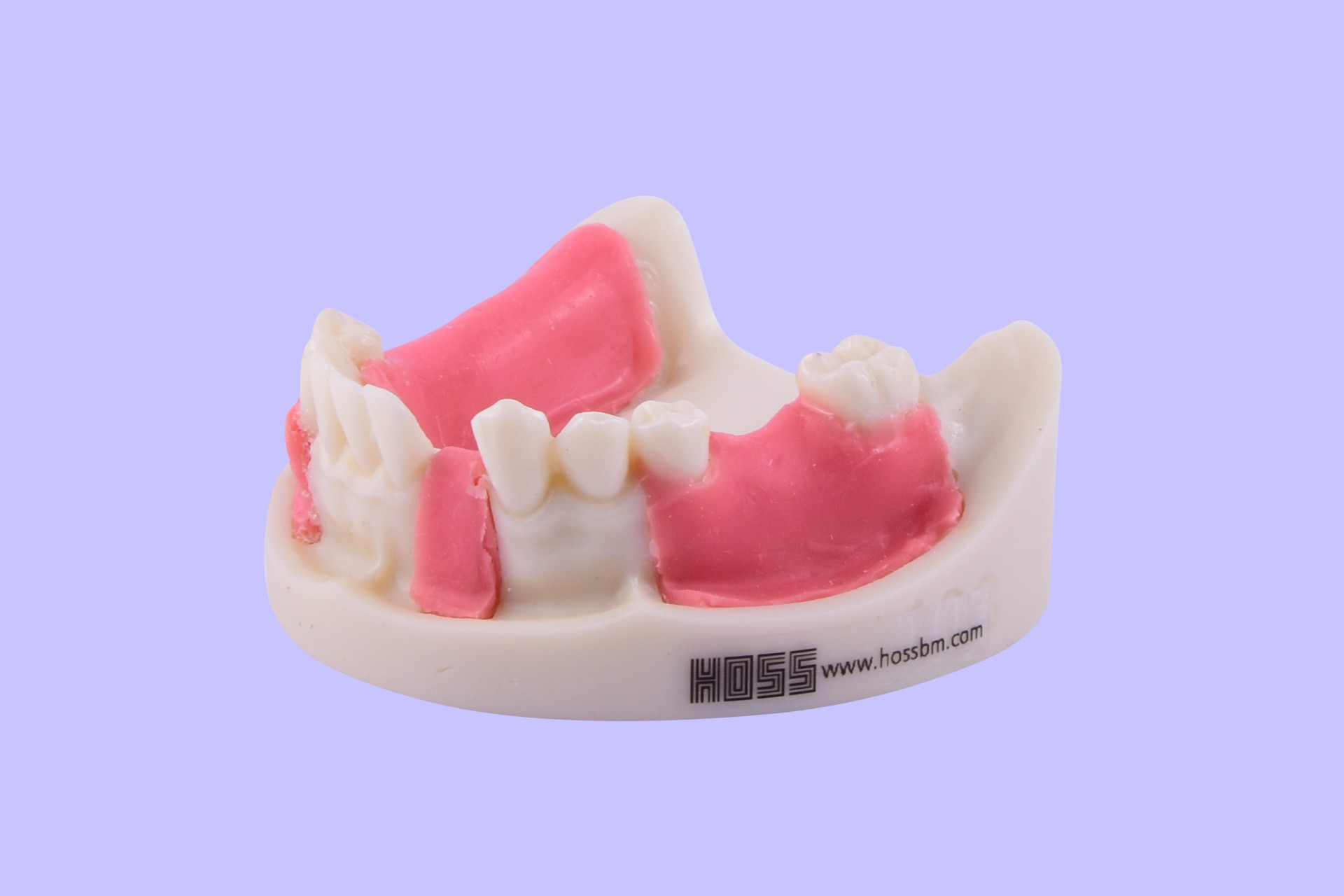 Surgery Training Arch With Soft Gum