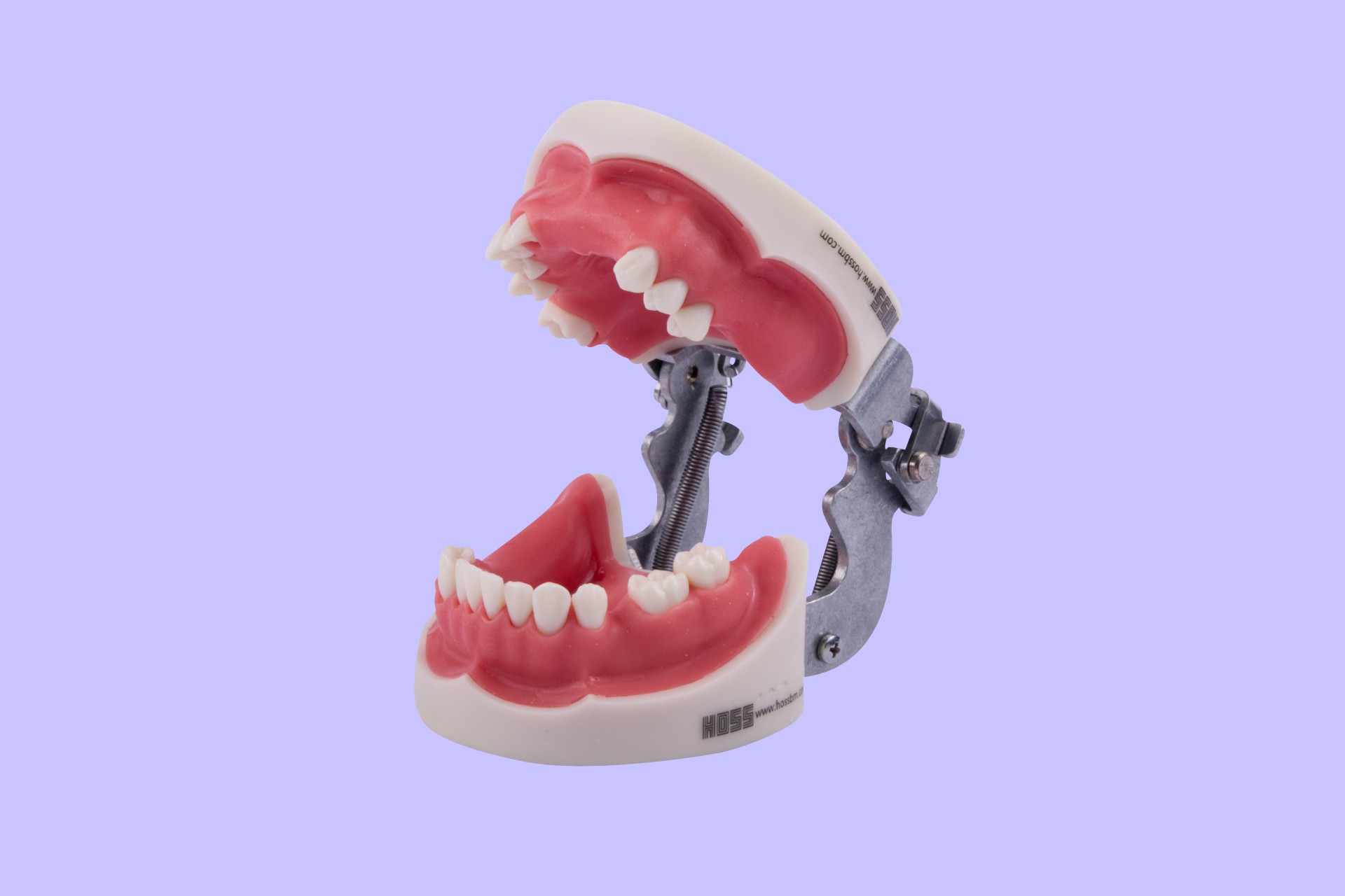 Complete Implant and Sinus Lift with Articulator Training Arch
