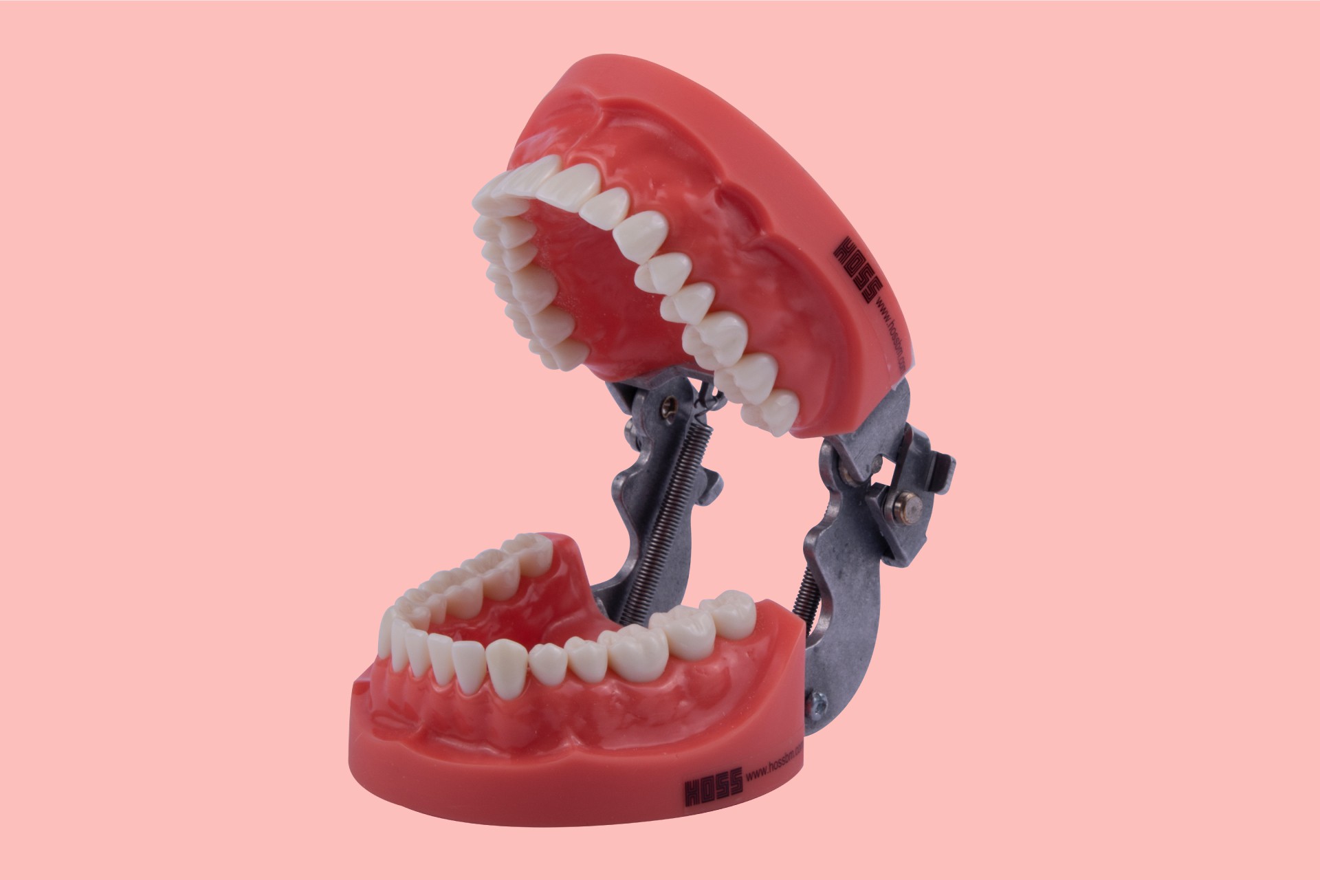 Hard Tissue Standard Training Arch with Articulator 32 Tooth
