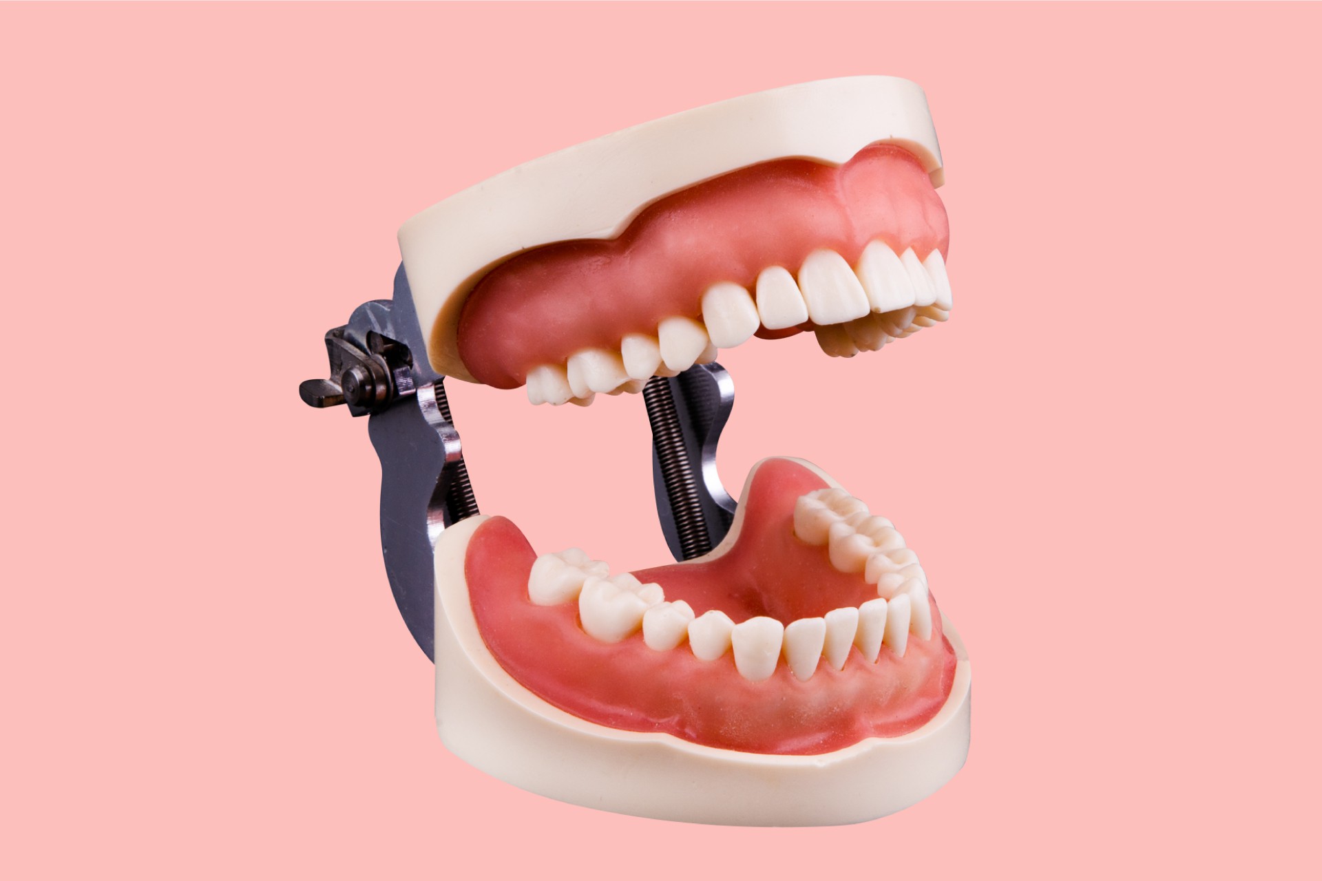 Soft Tissue Standard Training Arch with Articulator 28 Tooth