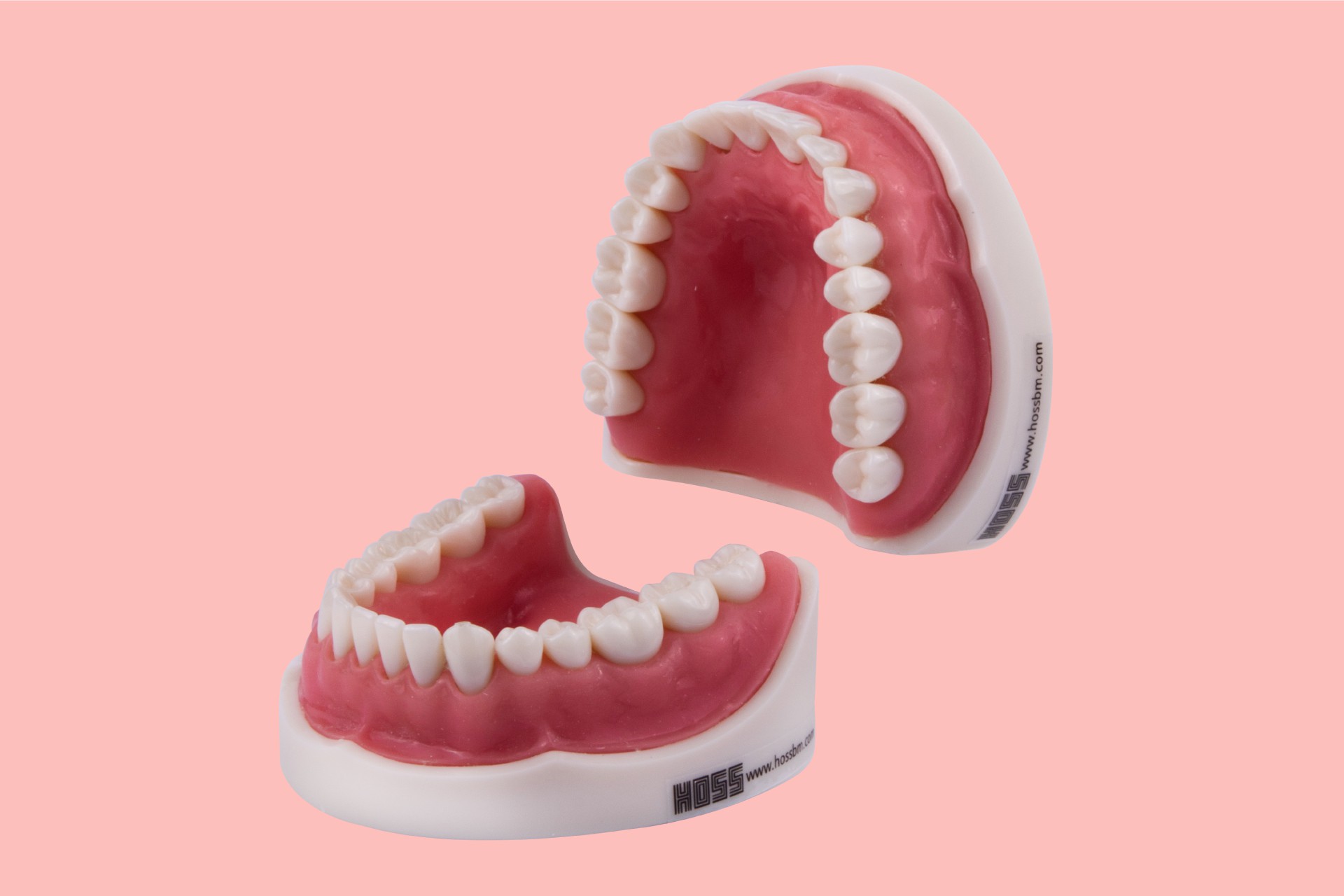 Soft Tissue Standard Arch 32 Tooth