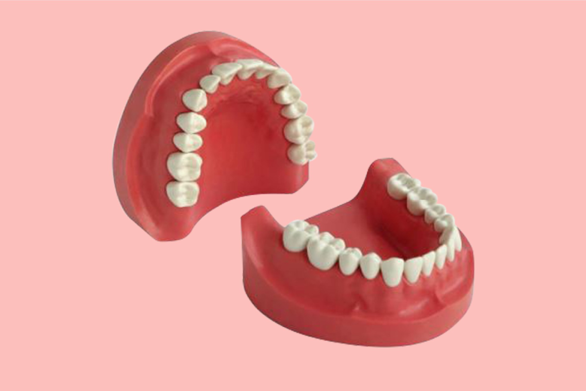 Hard Tissue Prosthetic Restorations 28 Tooth
