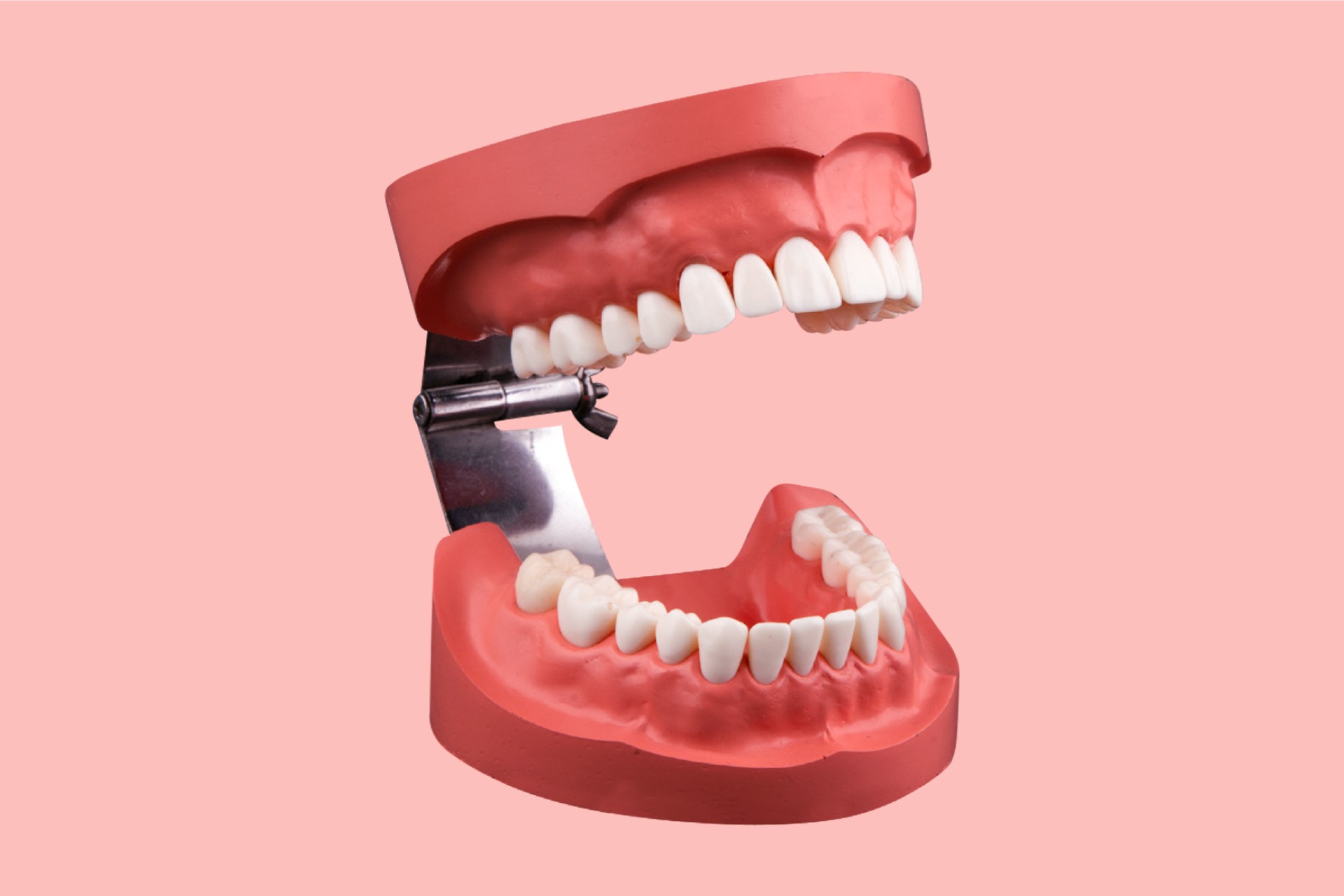 Oral Health and Standard Teeth Presentation