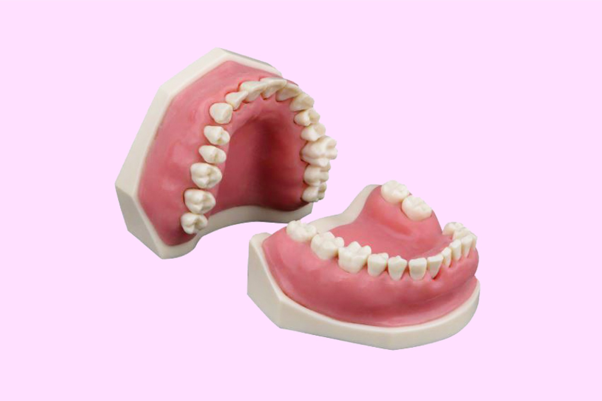 Periodontics Training Arch with Matte Pink Soft Gum