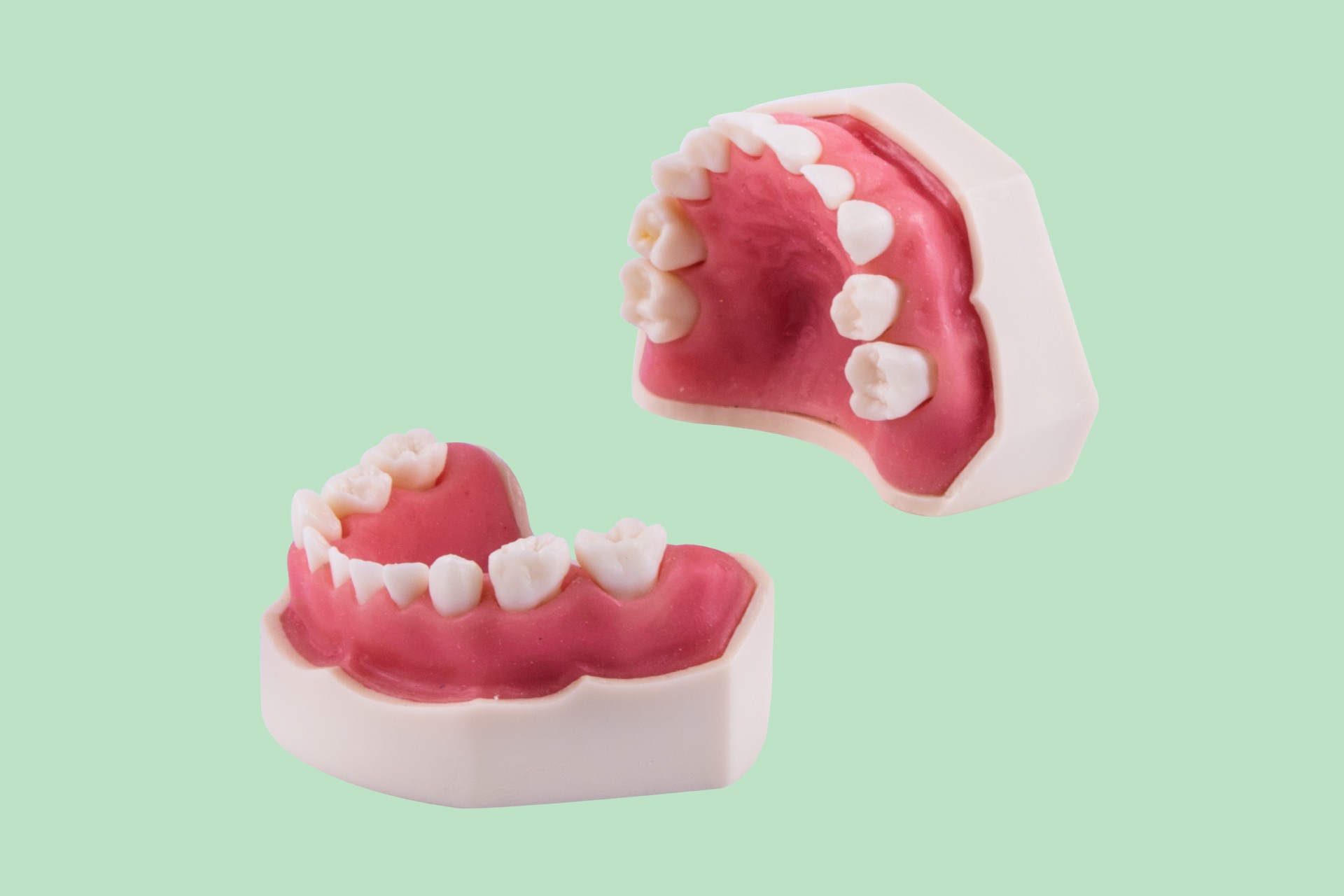 Pediatric Presentation Arch with Soft Gum and Rooty Teeth
