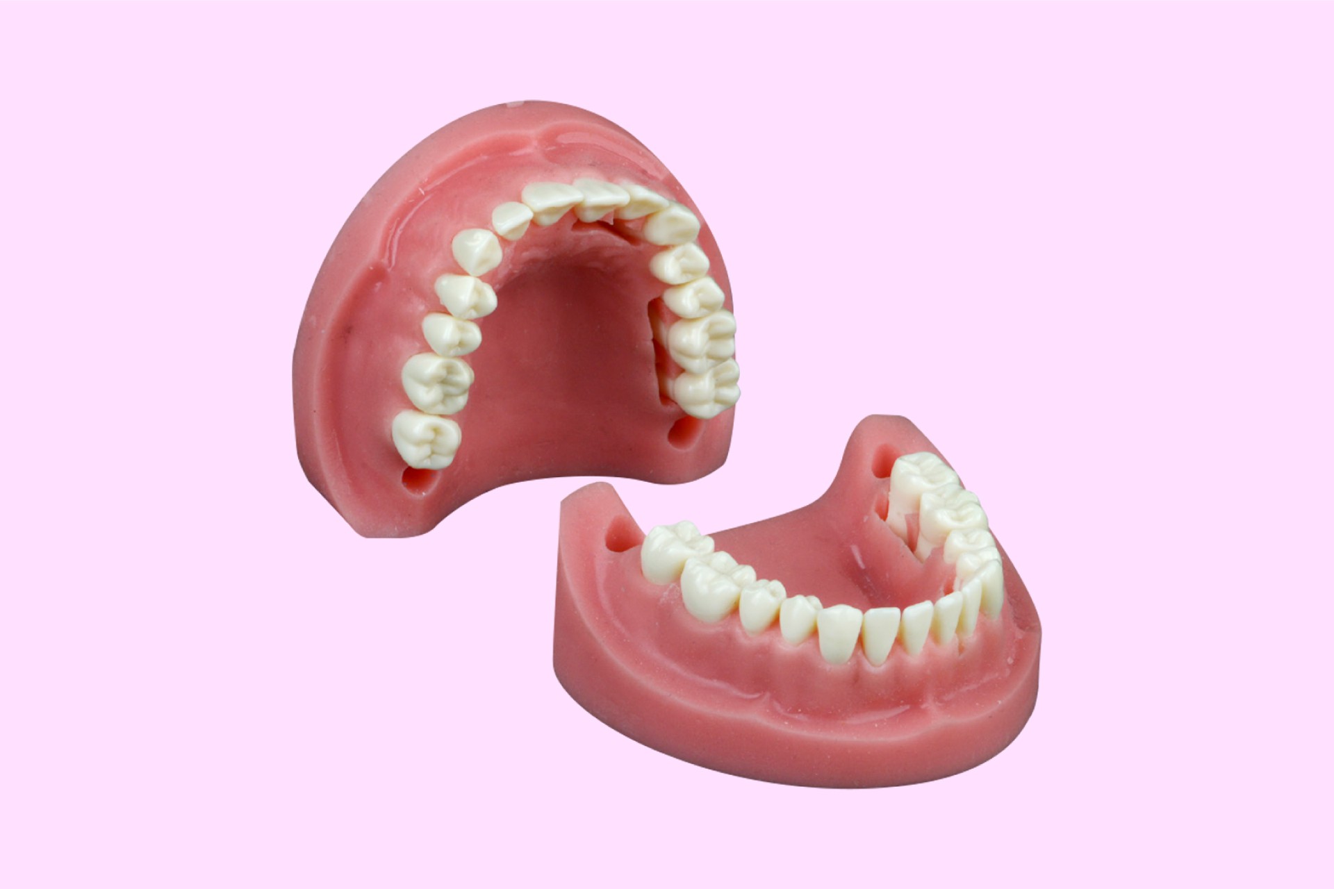 Suture Training Model with Teeth