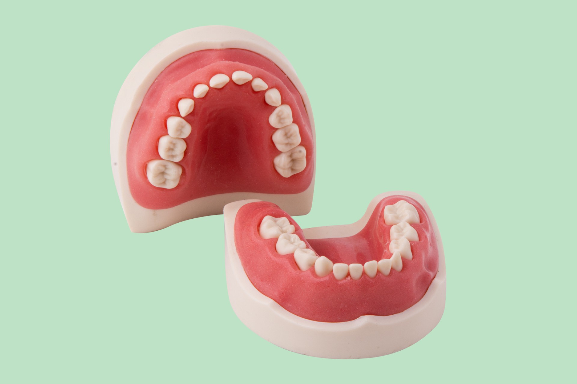 مدل تمرینی اطفال با لثه نرم 24 دندان