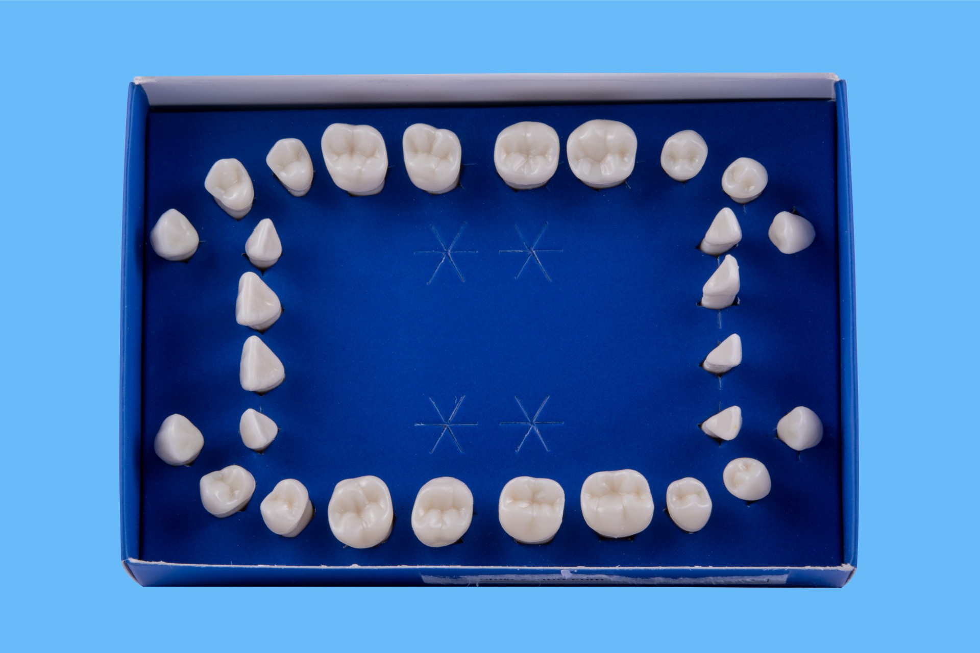 ست دندان تعویضی بزرگسال  28 دندان مدل N