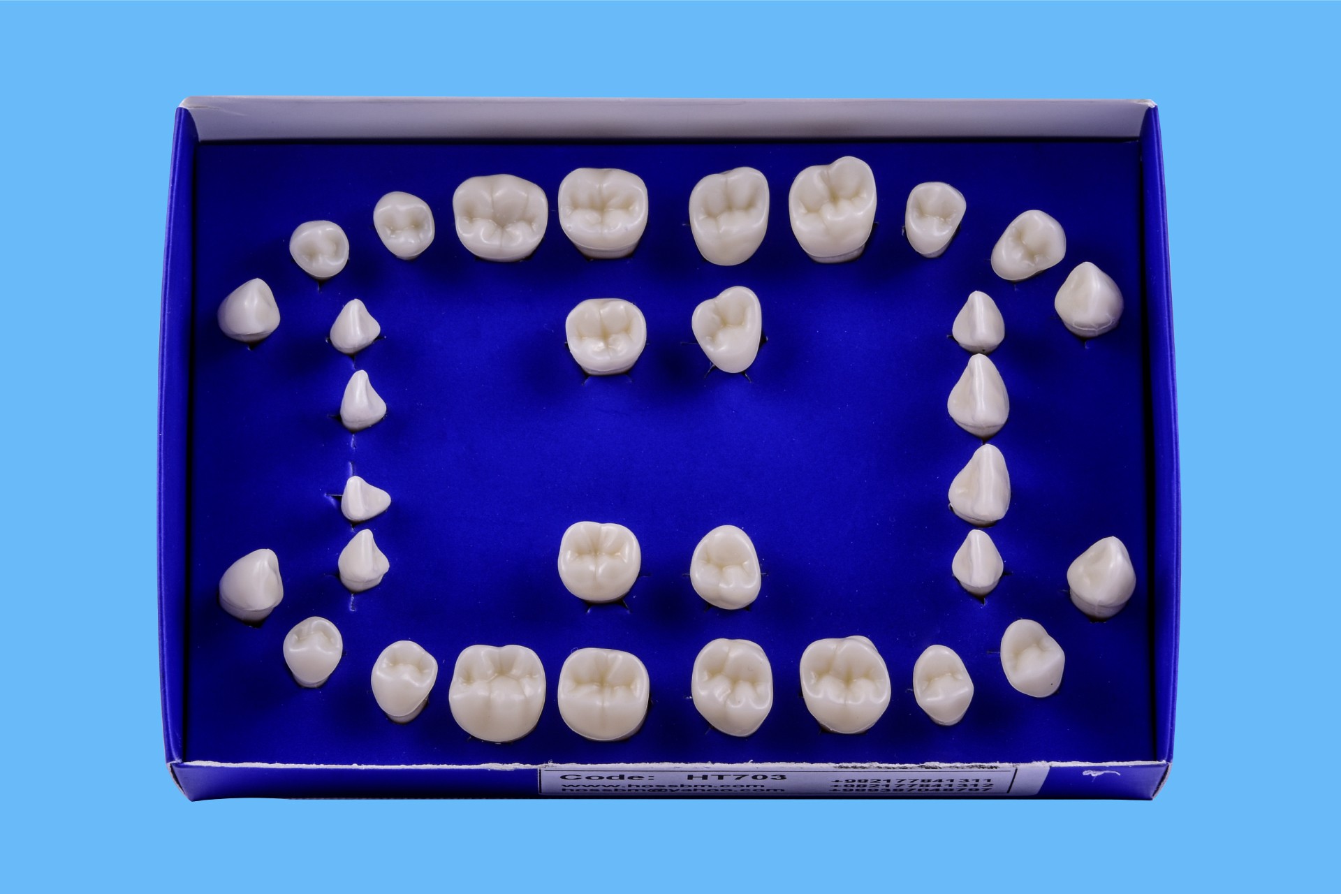 ست دندان تعویضی بزرگسال 32 دندان