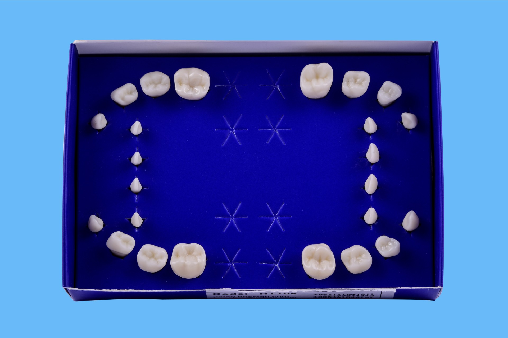 ست دندان تمرینی اطفال 24 دندان