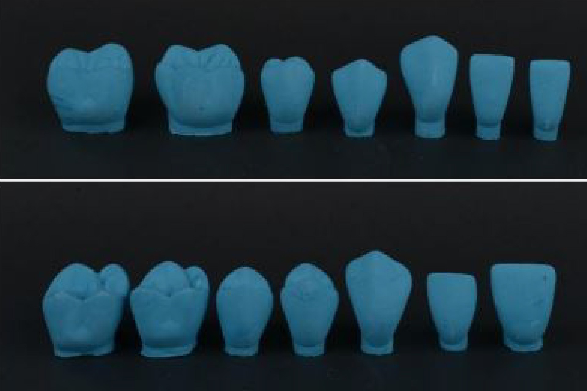 ست آموزشی آناتومی پروتز تاج دندان 14 دندان X3